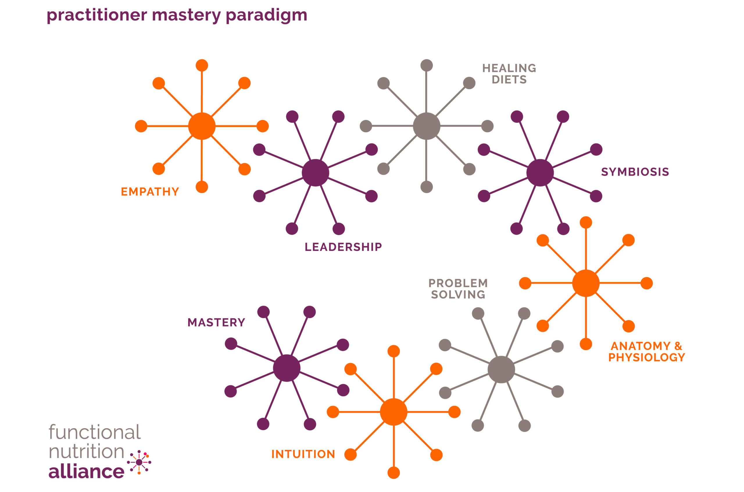 FxNA practitioner mastery